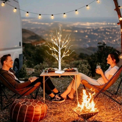 Vanthylit Lighted Birch Tree, Tabletop LED Warm White Tree Lights, Battery Powered Tabletop Tree Decorations for Home Fireplace Party Christmas