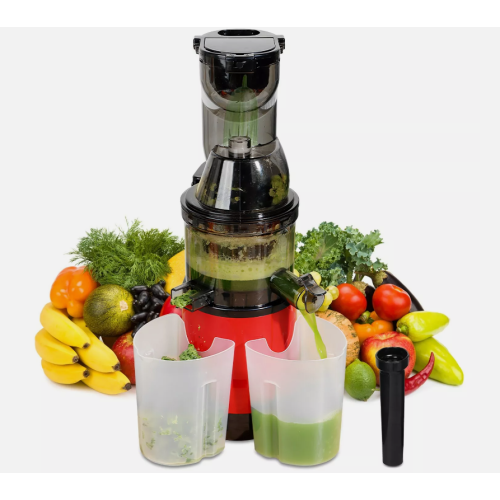 Newmodern 300W Cold Press Masticating Juicer