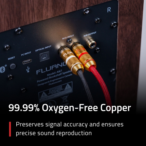 Fluance RCA Cable, 2-Male to 2-Male Gold-Plated Plugs for Preamplifier, CD player, Turntable, and Hi-Fi system - 6 Feet