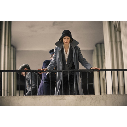 Fantastic Beasts and Where to Find Them Special Edition [DVD]