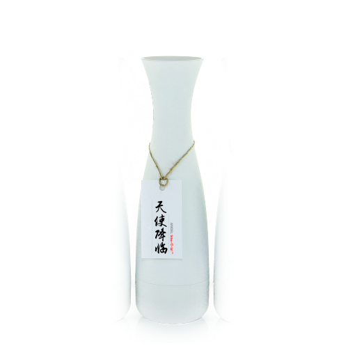 STIMULA SAKE ANGEL VAGINA MALE MASTURBATOR HIDDEN SEX BOTTLE WITH DISCREET SHIPPING