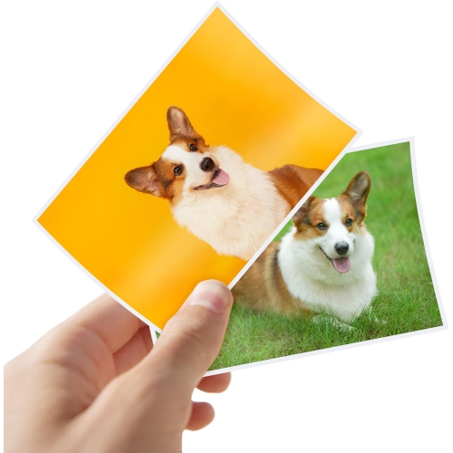 CANLENPK 4 x 6 Inch Glossy Photo Paper, Pack of 100 Sheets Inkjet,Laser Photo Paper,Premium High-Gloss White