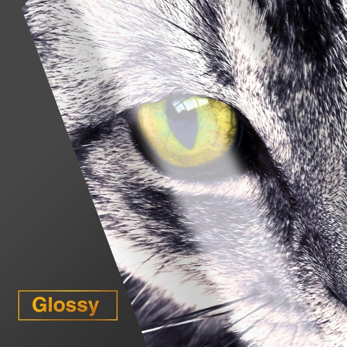 Premium Photo Paper High Glossy 8.5x11 Inch 66lb for Inkjet Printers 50 Sheets