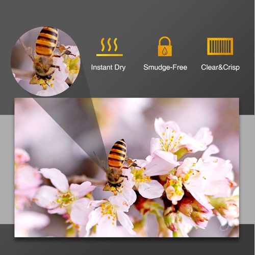 Premium Photo Paper High Glossy 8.5x11 Inch 66lb for Inkjet Printers 50 Sheets