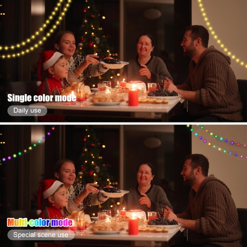 Color Changing Globe String Lights, 16.4ft Smart Fairy String Lights with APP Control, Mini Ball LED Twinkle Lights Hanging