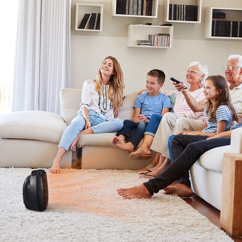 Antarctic Star Portable Electric Tabletop Space Heater Space Heater, quiet, Overheat Protection for Home/Office, BLACK