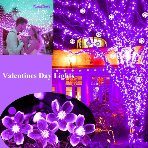 Guirlande de lumières, lumières violettes Décoration de pièce Lumières de 33 pi 100LED 8 modes Fleurs d'intérieur de fête de mariage LED lumières