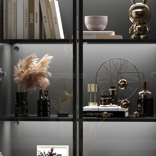 Homsee LED Lights Bookcase with Tempered Glass Doors and Aluminum Frame, Modern Storage Shelf for Living Room or Study, Black