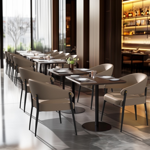 Luxury Dining Chairs: Set of 2 Leisure Dining Chairs Microfiber Leather Kitchen Chairs Occasional Chairs with Soft Backrest and Padded Seat for