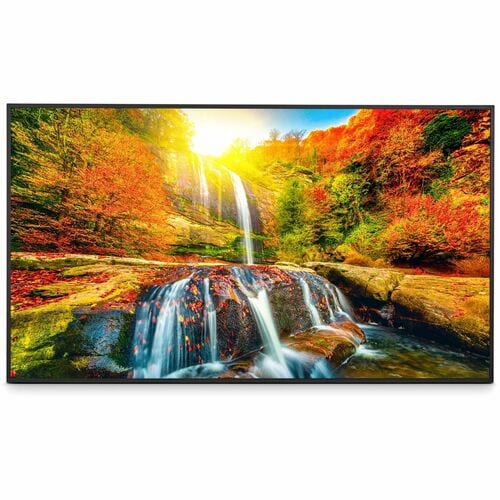 Sharp NEC 43" 4K UHD LED Commercial Display - Black
