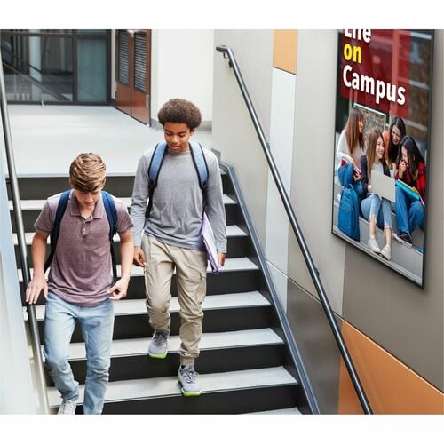 Sharp NEC 43" 4K UHD LED Commercial Display - Black