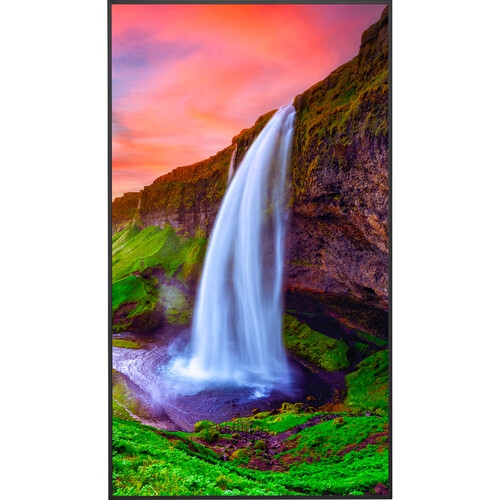 Sharp NEC 50" 4K UHD LED Commercial Display - Black