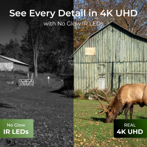 First 4K UHD 4G LTE Wildlife Camera with 360° View & Animal Recognition, No-Glow Night Vision, Battery/Solar-Powered Reolink Go Ranger PT