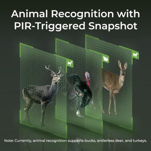 First 4K UHD 4G LTE Wildlife Camera with 360° View & Animal Recognition, No-Glow Night Vision, Battery/Solar-Powered Reolink Go Ranger PT