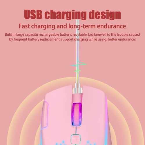 RisoPhy Wireless Gaming Mouse, C30 Silent Click Wireless Rechargeable Gaming Mouse with Double-Click Key and Colorful LED Lights, 3 Level Adjustable