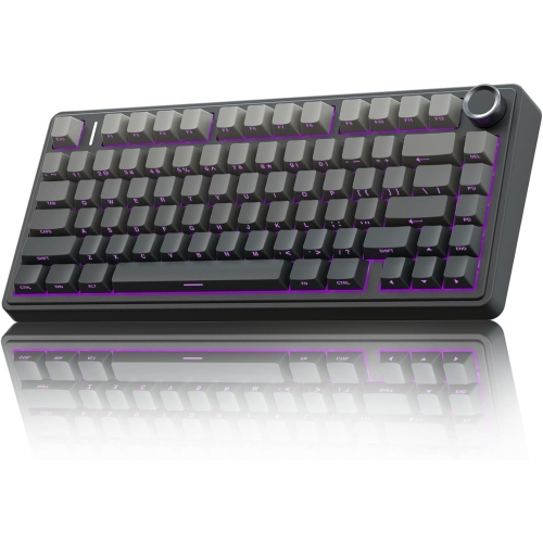 RisoPhy Wireless Mechanical Gaming Keyboard,75% Gasket Hot Swappable Custom Keyboard, RGB Backlit,Pre-lubed Reaper Switches, Side Printed PBT