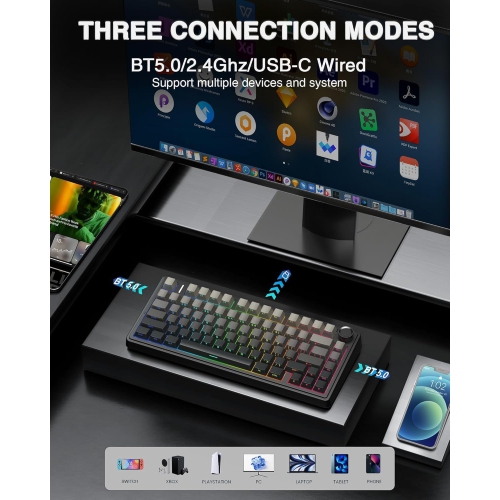 RisoPhy Wireless Mechanical Gaming Keyboard,75% Gasket Hot Swappable Custom Keyboard, RGB Backlit,Pre-lubed Reaper Switches, Side Printed PBT