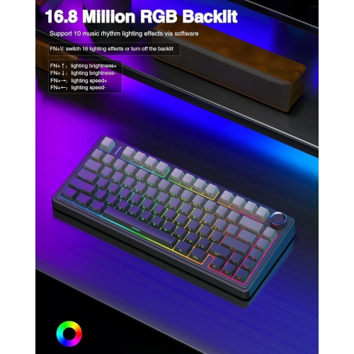 RisoPhy Wireless Mechanical Gaming Keyboard,75% Gasket Hot Swappable Custom Keyboard, RGB Backlit,Pre-lubed Reaper Switches, Side Printed PBT