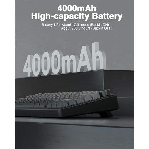 RisoPhy Wireless Mechanical Gaming Keyboard,75% Gasket Hot Swappable Custom Keyboard, RGB Backlit,Pre-lubed Reaper Switches, Side Printed PBT