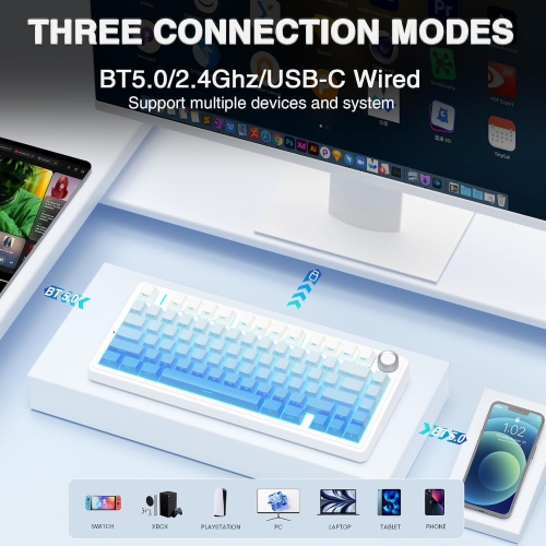 RisoPhy Wireless Mechanical Keyboard,75% Gasket Hot Swappable Custom Keyboard, RGB Backlit, Pre-lubed Linear Switches, Side Printed PBT Keycaps -