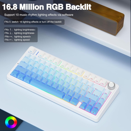RisoPhy Wireless Mechanical Keyboard,75% Gasket Hot Swappable Custom Keyboard, RGB Backlit, Pre-lubed Linear Switches, Side Printed PBT Keycaps -