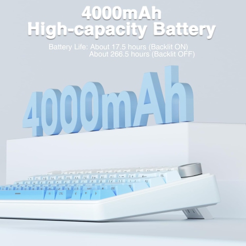 RisoPhy Wireless Mechanical Keyboard,75% Gasket Hot Swappable Custom Keyboard, RGB Backlit, Pre-lubed Linear Switches, Side Printed PBT Keycaps -