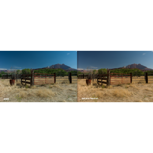 BRNO baLens White Balance Lens Cap 62MM