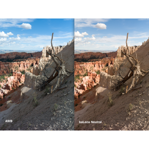 BRNO baLens White Balance Lens Cap 58mm