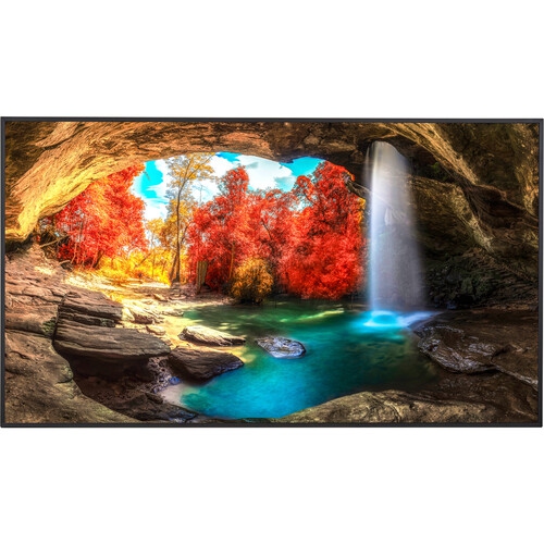 Sharp MultiSync 65" 4K UHD LED Commercial Display - Black