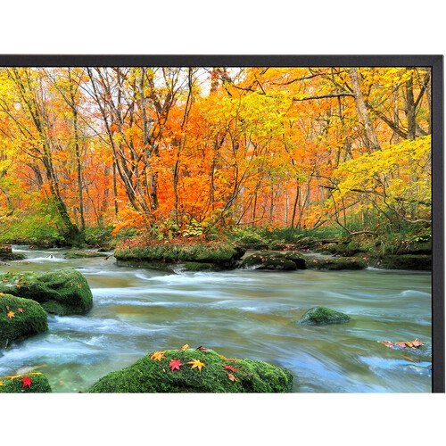 Sharp MultiSync 65" 4K UHD LED Commercial Display - Black