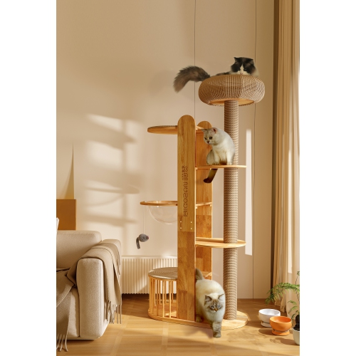 MiaoZan Solid Oak Cat Tree - Cloud Mist
