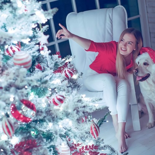 Guirlande de flocon de Noël, jeu de lumières 6&nbsp;M à piles de 40 LED, piles pour la maison, intérieur et extérieur