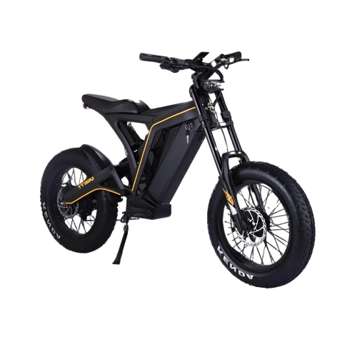 VSETT Eagle Electric Bike | 750W Gear Hub Motor | 48V 20AH Battery | Hydraulic Brakes | 7 Speed | Wide All-Terrain Tires