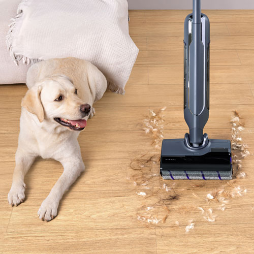 Aspirateur-balai à vadrouille sans fil humide/sec S20 Pro de Narwal avec 2 filtres - Gris