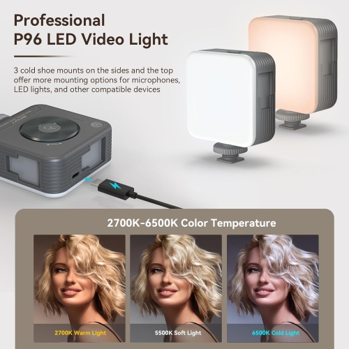 SmallRig Universal Phone Video Rig Kit for iPhone, Smartphone and Cameras, Phone Stabilizer Rig w/Tripod Microphone LED Light, for Vlogging-