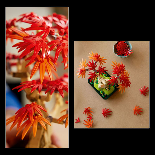 LEGO Botanicals: Japanese Red Maple Bonsai Tree - 474 Pieces (10348)