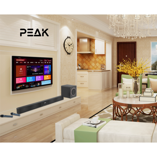 PEAK Karaoke BLUETOOTH Soundbar with 2 wireless Mics and Subwoofer