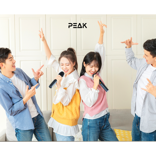 PEAK Karaoke BLUETOOTH Soundbar with 2 wireless Mics and Subwoofer
