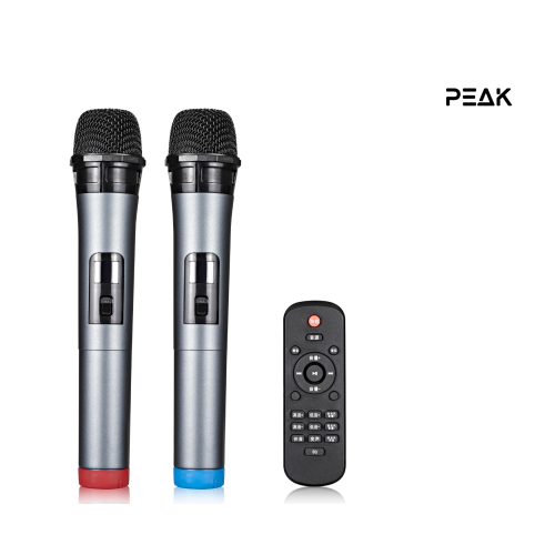 PEAK Karaoke BLUETOOTH Soundbar with 2 wireless Mics and Subwoofer