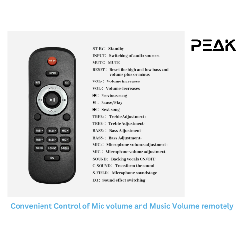 PEAK Karaoke BLUETOOTH Soundbar with 2 wireless Mics and Subwoofer