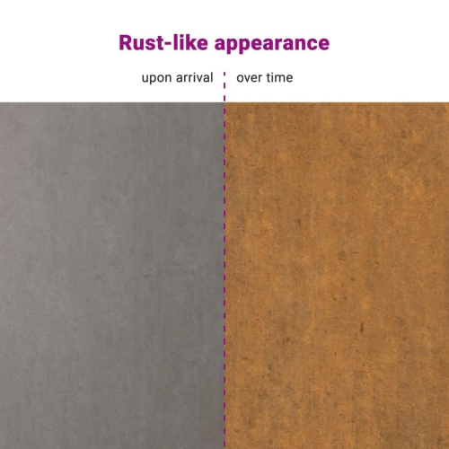 vidaXL Garden Wall Decorations 2pcs 105x55cm Corten Steel Flower Design