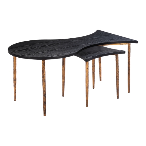 RUG BRANCH  Norden Coffee Table Set (2-Piece) & Bronze In Black