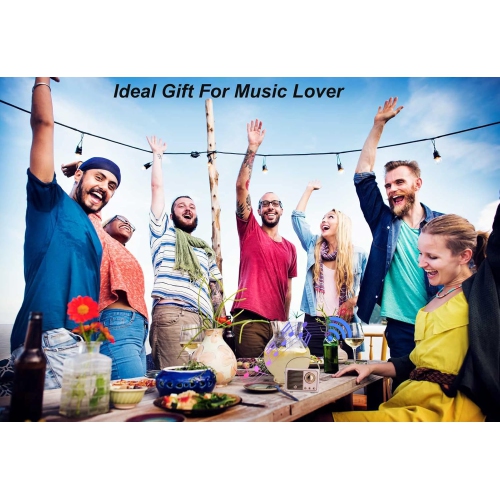 Retro BT 5.0 Speaker, HiFi Stereo Low Power Consumption Speaker, 360 Degree Stereo HiFi Sound Vintage Speaker with a Fast Transmission Speed, for