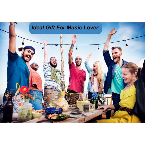 Retro BT 5.0 Speaker, HiFi Stereo Low Power Consumption Speaker, 360 Degree Stereo HiFi Sound Vintage Speaker with a Fast Transmission Speed, for