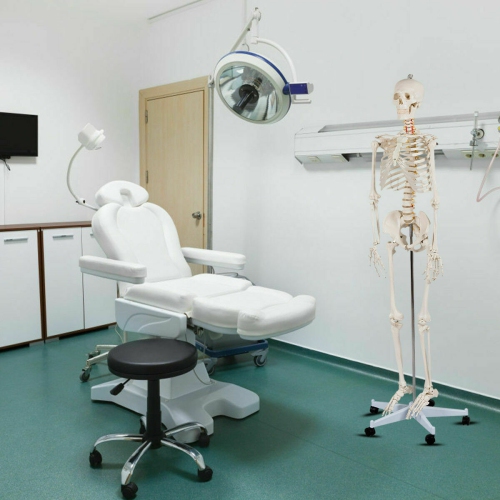 Costway 70.8" Life Size Skeleton Model, with Roller Stand, 2 Casters with Brake, Removable Parts, Anatomical Poster and Dust Cover, Human Skeleton