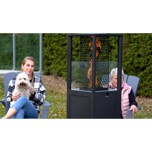 Chaufferette de patio à granules de bois avec ventilateur d'EnerG+ pour l'extérieur