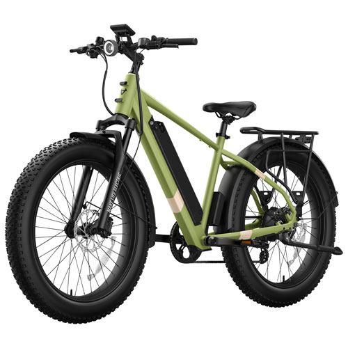 NIU BQi 300 Fat Tire Electric Mountain Bike - Matte Green