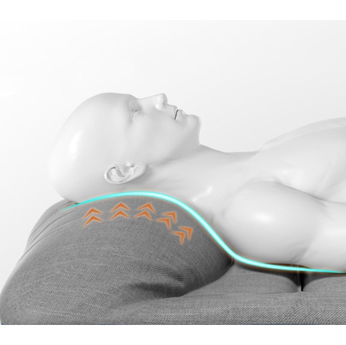 Folding Camping Cot with Cushion, Large Pocket Portable Camp Bed Cots with Carry Bag, Max Load 550 LBS, for Camping, BBQ, Hiking, Backpacking, Beach,