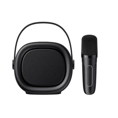 Mini haut-parleur de karaoké portatif sans fil Bluetooth V5.3 SK819BT de HAVIT avec Micphone_Couleur noire