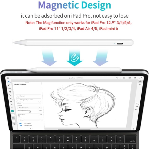 Stylus Pen for iPad with Palm Rejection, 2X Fast Charging Pencil Compatible with 2018-2024 iPad 6-10, iPad Pro 11, iPad Pro 12.9 6/5/4/3, iPad Pro